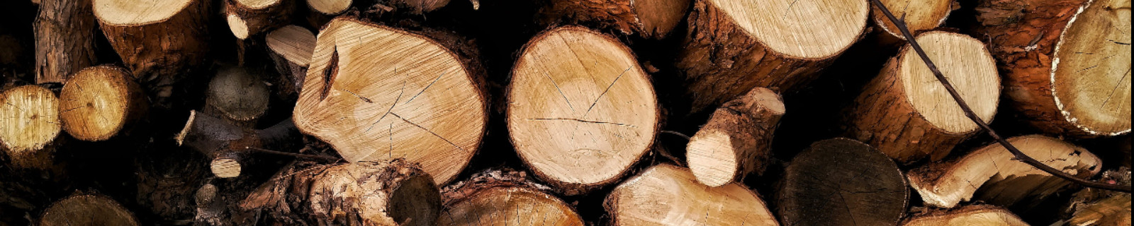 banner-header